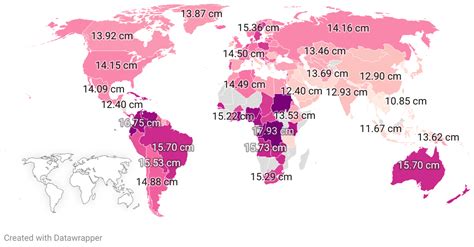 Penis Size by Country 2024